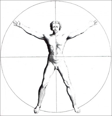HomoCirculumPerrault2.jpg