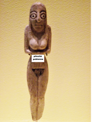 Pilosité pubienne Nagada I.png (16.12 Mio) Consulté 31014 fois pilosité pubienne Nagada I