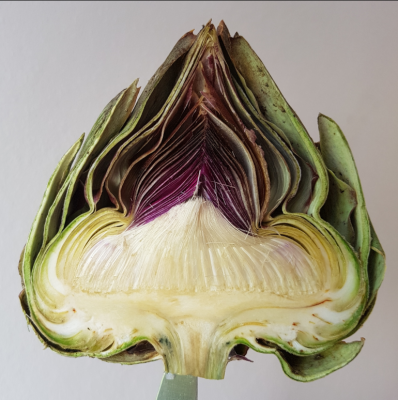 Artichaut coeur WKM.PNG (1.23 Mio) Consulté 18438 fois Photo WKM